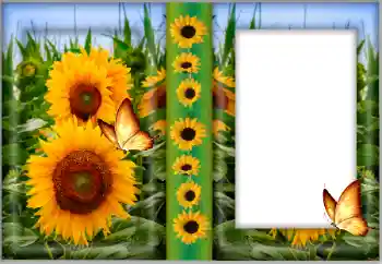 Fotografický efekt z kategorie Ženské fotorámečky № 175542