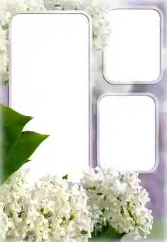 Fotografický efekt z kategorie Ženské fotorámečky № 176613