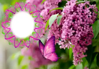 Fotografický efekt z kategorie Ženské fotorámečky № 176770