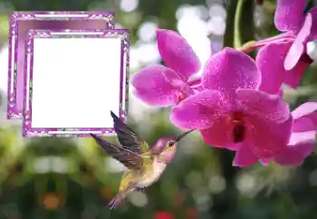 Fotografický efekt z kategorie Ženské fotorámečky № 176778