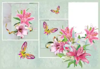 Fotografický efekt z kategorie Ženské fotorámečky № 176820