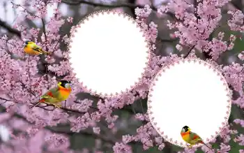 Fotografický efekt z kategorie Ženské fotorámečky № 177884