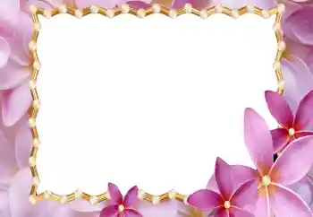 Fotografický efekt z kategorie Ženské fotorámečky № 177920