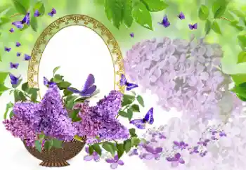 Fotografický efekt z kategorie Ženské fotorámečky № 177975