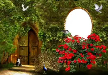 Fotografický efekt z kategorie Ženské fotorámečky № 178046