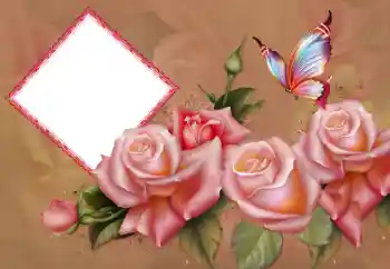 Fotografický efekt z kategorie Ženské fotorámečky № 178101