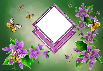 Fotografický efekt z kategorie Ženské fotorámečky № 178292