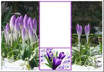 Fotografický efekt z kategorie Ženské fotorámečky № 179360