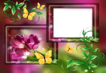 Fotografický efekt z kategorie Ženské fotorámečky № 179563