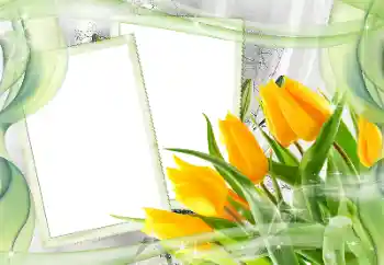 Fotografický efekt z kategorie Ženské fotorámečky № 181968