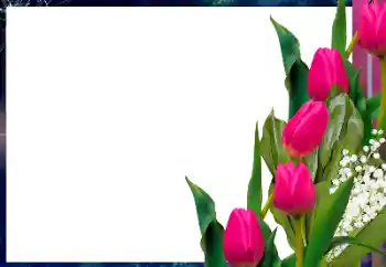 Fotografický efekt z kategorie Ženské fotorámečky № 182017