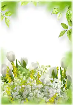 Fotografický efekt z kategorie Ženské fotorámečky № 182024