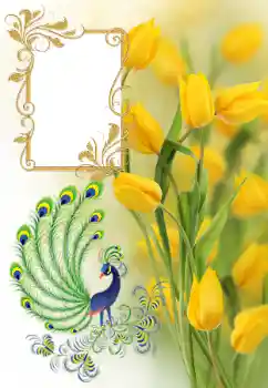 Fotografický efekt z kategorie Ženské fotorámečky № 182161