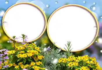 Fotografický efekt z kategorie Ženské fotorámečky № 184588