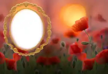 Fotografický efekt z kategorie Ženské fotorámečky № 185852