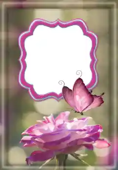 Fotografický efekt z kategorie Ženské fotorámečky № 187032