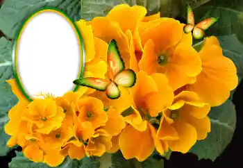 Fotografický efekt z kategorie Ženské fotorámečky № 189369