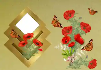 Fotografický efekt z kategorie Ženské fotorámečky № 189371