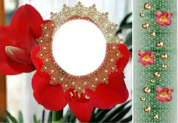 Fotografický efekt z kategorie Ženské fotorámečky № 190480