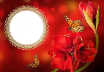 Fotografický efekt z kategorie Ženské fotorámečky № 191699