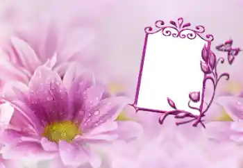 Fotografický efekt z kategorie Ženské fotorámečky № 191747