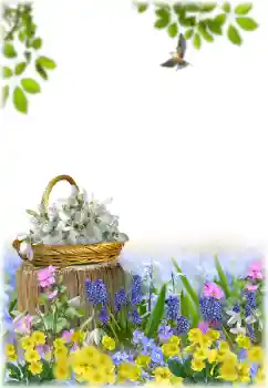 Fotografický efekt z kategorie Ženské fotorámečky № 195329