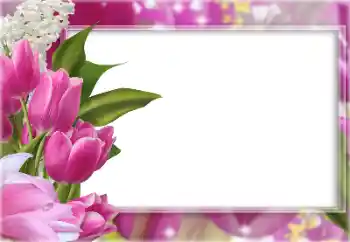 Fotografický efekt z kategorie Ženské fotorámečky № 196363