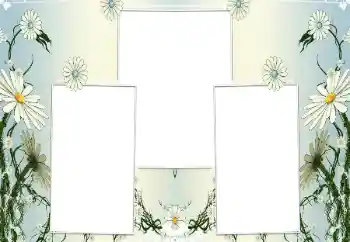 Fotografický efekt z kategorie Ženské fotorámečky № 196602