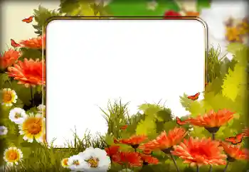 Fotografický efekt z kategorie Ženské fotorámečky № 198826