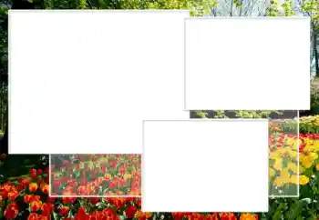 Fotografický efekt z kategorie Ženské fotorámečky № 198891