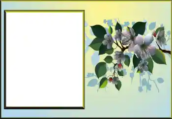 Fotografický efekt z kategorie Ženské fotorámečky № 198924