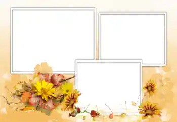 Fotografický efekt z kategorie Ženské fotorámečky № 198975