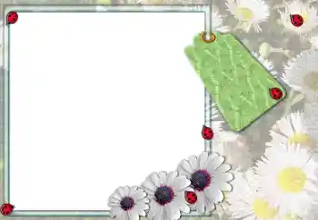 Fotografický efekt z kategorie Ženské fotorámečky № 205379