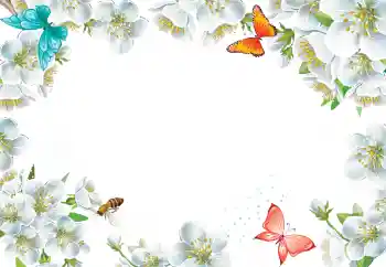 Fotografický efekt z kategorie Ženské fotorámečky № 205423