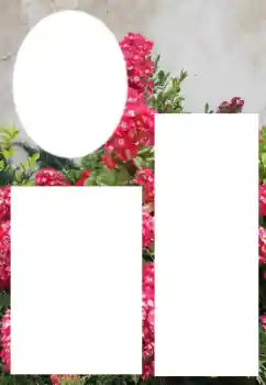 Fotografický efekt z kategorie Ženské fotorámečky № 205800