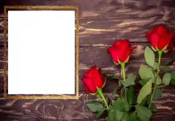 Fotografický efekt z kategorie Ženské fotorámečky № 206175