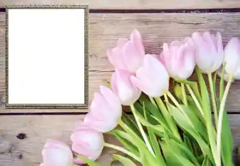 Fotografický efekt z kategorie Ženské fotorámečky № 206178