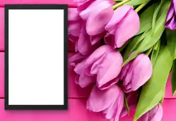 Fotografický efekt z kategorie Ženské fotorámečky № 206179