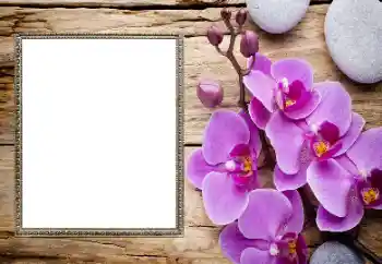 Fotografický efekt z kategorie Ženské fotorámečky № 206185