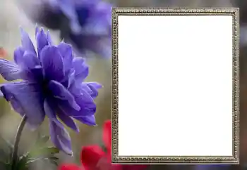 Fotografický efekt z kategorie Ženské fotorámečky № 206189