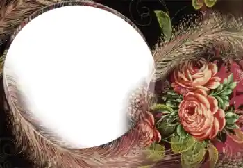 Fotografický efekt z kategorie Ženské fotorámečky № 22185 Fotografický efekt z kategorie Ženské fotorámečky № 22185