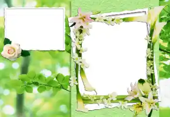 Fotografický efekt z kategorie Ženské fotorámečky № 24444 Fotografický efekt z kategorie Ženské fotorámečky № 24444