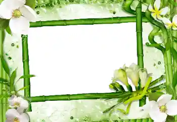 Fotografický efekt z kategorie Ženské fotorámečky № 24470 Fotografický efekt z kategorie Ženské fotorámečky № 24470