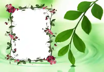 Fotografický efekt z kategorie Ženské fotorámečky № 24558