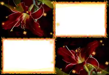 Fotografický efekt z kategorie Ženské fotorámečky № 27702
