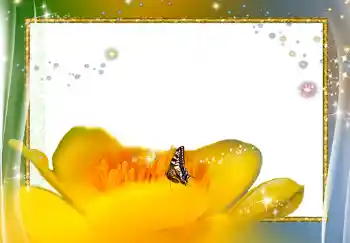 Fotografický efekt z kategorie Ženské fotorámečky № 278 Fotografický efekt z kategorie Ženské fotorámečky № 278