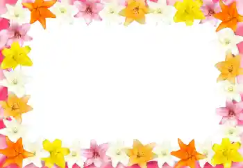 Fotografický efekt z kategorie Ženské fotorámečky № 2989