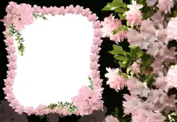 Fotografický efekt z kategorie Ženské fotorámečky № 31824