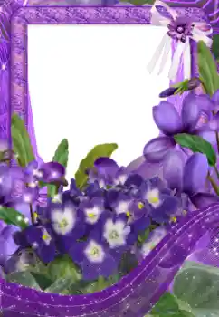 Fotografický efekt z kategorie Ženské fotorámečky № 33734 Fotografický efekt z kategorie Ženské fotorámečky № 33734