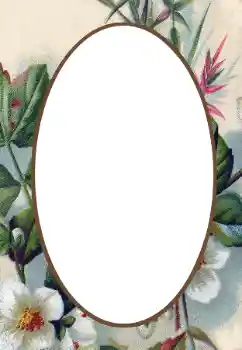 Fotografický efekt z kategorie Ženské fotorámečky № 34845